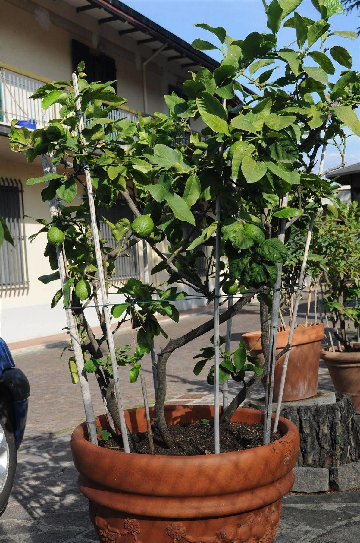 Marinetta Bed & Breakfast Signa Buitenkant foto